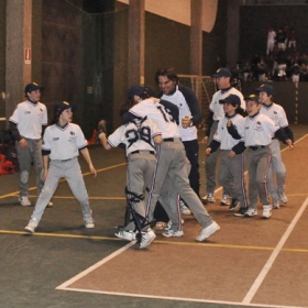 Virtus Baseball Ozzano Emilia